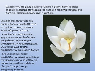 Ένα πολύ γνωστό μάντρα είναι το “Om mani padme hum” το οποίο
σημαίνει «κόσμημα στην καρδιά του λωτού» ή πιο απλά «πετράδι στο
λωτό, του οποίου ο Βούδας είναι η καρδιά».
Ο μύθος λέει ότι τη νύχτα την
οποία ο Βούδας συνελήφθη από
τη μητέρα του ένας τεράστιος
λωτός φύτρωσε από τη γη .
ένας λωτός με οχτώ πέταλα
χρησιμοποιείται ως βουδιστικό
σύμβολο του σύμπαντος και
αναπαριστά την κοσμική αρμονία.
Ο λωτός με χίλια πέταλα
συμβολίζει την πνευματική φώτιση
. Ένα μπουμπούκι λωτού
συμβολίζει την πιθανότητα. Επίσης
αντιπροσωπεύει το παρελθόν, το
παρόν και το μέλλον, καθώς το
ίδιο φυτό μπορεί να έχει
συγχρόνως σπόρους,
 