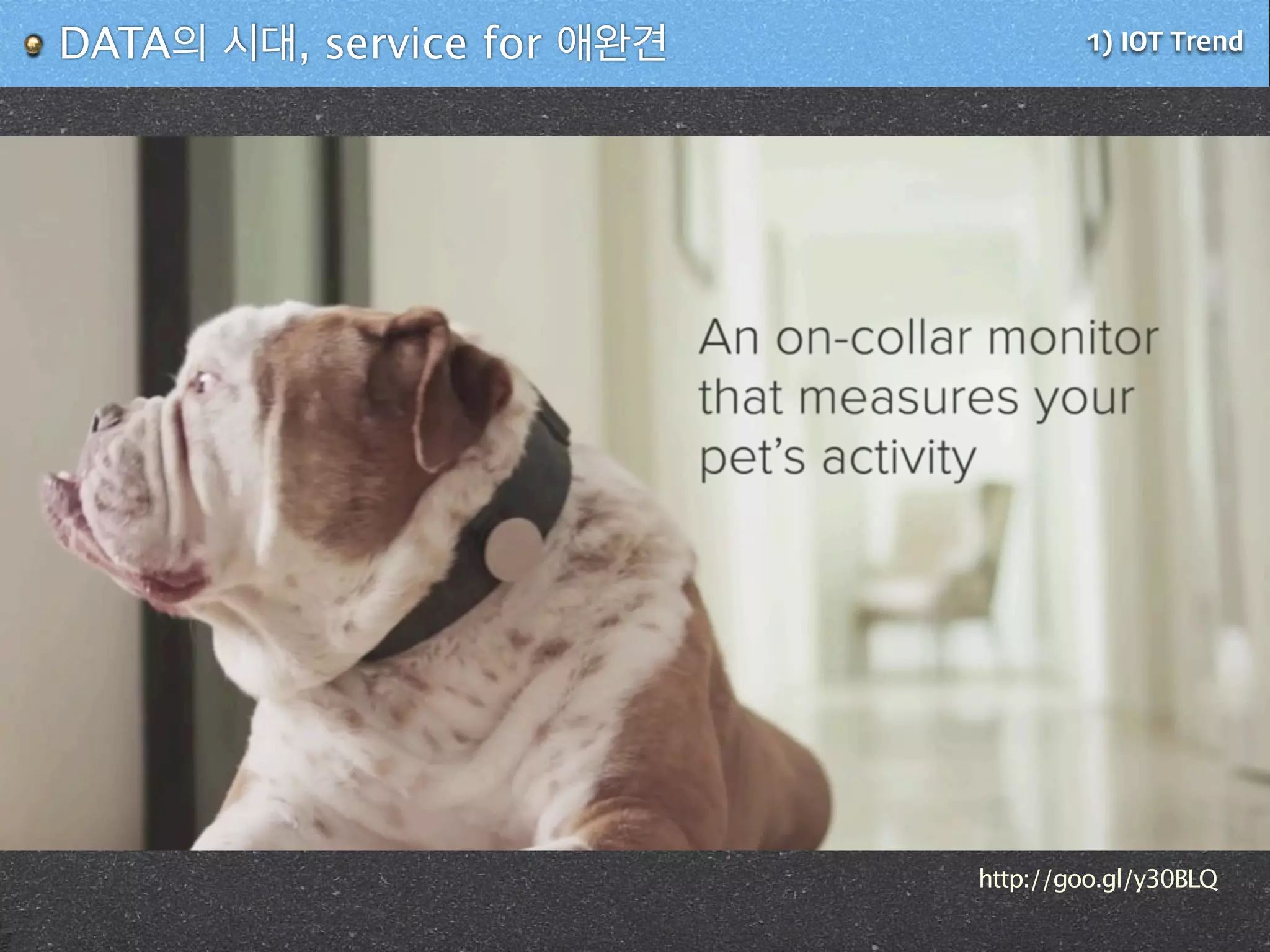 1) IOT TrendDATA의 시대, service for 애완견
http://goo.gl/y30BLQ
 