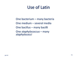 Use of Latin
One bacterium – many bacteria
One medium – several media
One bacillus – many bacilli
One staphylococcus – many
staphylococci
Jul-14 13
 
