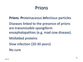 Prions
Prions Proteinaceous infectious particles
Diseases linked to the presence of prions
are transmissible spongiform
encephalopathies (e.g. mad cow disease).
Misfolded proteins
Slow infection (20-30 years)
No cure
Jul-14
15
 