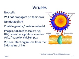 Viruses
Not cells
Will not propagate on their own
No metabolism
Contain genetic/protein material
Phages, tobacco mosaic virus,
HIV, causative agents of common
cold, flu, polio, chicken pox
Viruses infect organisms from the
3 domains of life
Jul-14 16
National Institute of General Medical Sciences
 
