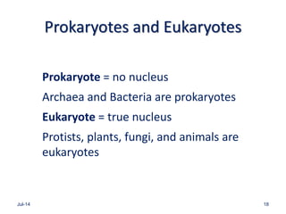 Prokaryotes and Eukaryotes
Prokaryote = no nucleus
Archaea and Bacteria are prokaryotes
Eukaryote = true nucleus
Protists, plants, fungi, and animals are
eukaryotes
Jul-14 18
 