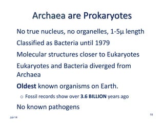 Archaea are Prokaryotes
No true nucleus, no organelles, 1-5µ length
Classified as Bacteria until 1979
Molecular structures closer to Eukaryotes
Eukaryotes and Bacteria diverged from
Archaea
Oldest known organisms on Earth.
o Fossil records show over 3.6 BILLION years ago
No known pathogens
Jul-14
19
 