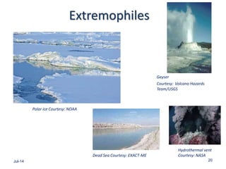Extremophiles
Jul-14 20
Hydrothermal vent
Courtesy: NASADead Sea Courtesy: EXACT-ME
Geyser
Courtesy: Volcano Hazards
Team/USGS
Polar ice Courtesy: NOAA
 