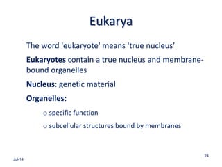 Eukarya
The word 'eukaryote' means 'true nucleus’
Eukaryotes contain a true nucleus and membrane-
bound organelles
Nucleus: genetic material
Organelles:
o specific function
o subcellular structures bound by membranes
Jul-14
24
 