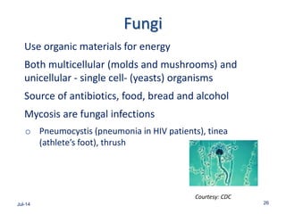Fungi
Use organic materials for energy
Both multicellular (molds and mushrooms) and
unicellular - single cell- (yeasts) organisms
Source of antibiotics, food, bread and alcohol
Mycosis are fungal infections
o Pneumocystis (pneumonia in HIV patients), tinea
(athlete’s foot), thrush
Jul-14 26
Courtesy: CDC
 