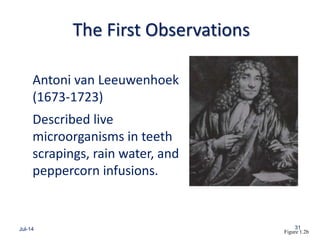 The First Observations
Antoni van Leeuwenhoek
(1673-1723)
Described live
microorganisms in teeth
scrapings, rain water, and
peppercorn infusions.
Jul-14 31
Figure 1.2b
 