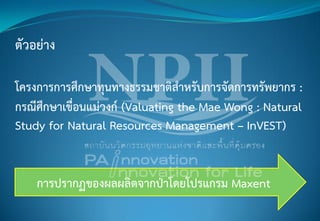 ตัวอย่าง
โครงการการศึกษาทุนทางธรรมชาติสาหรับการจัดการทรัพยากร :
กรณีศึกษาเขื่อนแม่วงก์ (Valuating the Mae Wong : Natural
Study for Natural Resources Management – InVEST)
การปรากฏของผลผลิตจากป่าโดยโปรแกรม Maxent
 
