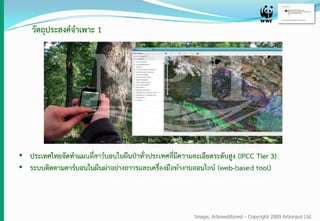 วัตถุประสงค์จาเพาะ 1
• ประเทศไทยจัดทาแผนที่คาร์บอนในผืนป่าทั่วประเทศที่มีความละเอียดระดับสูง (IPCC Tier 3)
• ระบบติดตามคาร์บอนในผืนผ่าอย่างถาวรและเครื่องมือทางานออนไลน์ (web-based tool)
Image; Arbowebforest - Copyright 2009 Arbonaut Ltd.
 