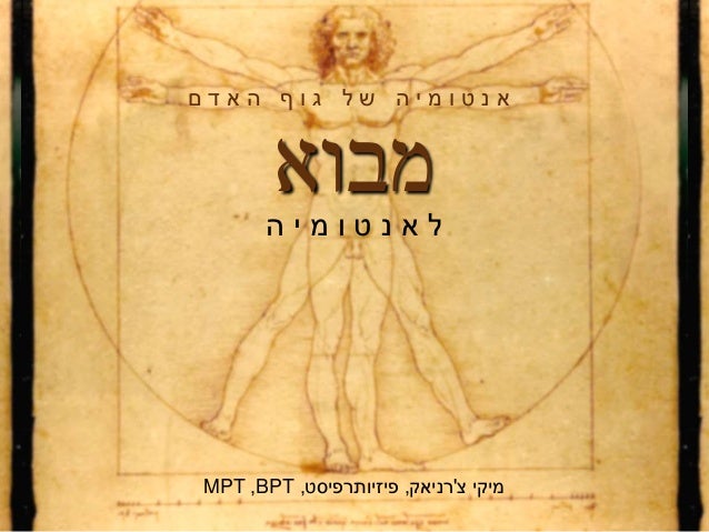 אנטומיה שיעור 1 - מבוא