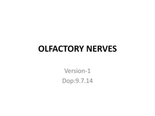 OLFACTORY NERVES
Version-1
Dop:9.7.14
 