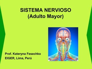 SISTEMA NERVIOSO
(Adulto Mayor)
Prof. Kateryna Fesechko
EIGER, Lima, Perú
 