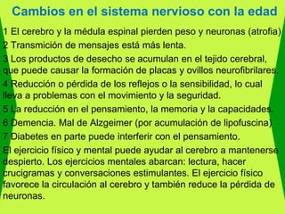 Cambios en el sistema nervioso con la edad
1 El cerebro y la médula espinal pierden peso y neuronas (atrofia)
2 Transmición de mensajes está más lenta.
3 Los productos de desecho se acumulan en el tejido cerebral,
que puede causar la formación de placas y ovillos neurofibrilares.
4 Reducción o pérdida de los reflejos o la sensibilidad, lo cual
lleva a problemas con el movimiento y la seguridad.
5 La reducción en el pensamiento, la memoria y la capacidades.
6 Demencia. Mal de Alzgeimer (por acumulación de lipofuscina)
7 Diabetes en parte puede interferir con el pensamiento.
El ejercicio físico y mental puede ayudar al cerebro a mantenerse
despierto. Los ejercicios mentales abarcan: lectura, hacer
crucigramas y conversaciones estimulantes. El ejercicio físico
favorece la circulación al cerebro y también reduce la pérdida de
neuronas.
 