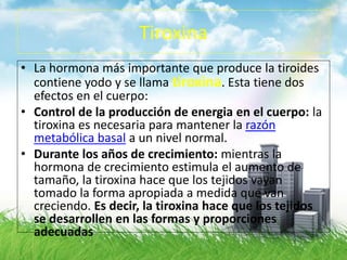 Tiroxina
• La hormona más importante que produce la tiroides
contiene yodo y se llama tiroxina. Esta tiene dos
efectos en el cuerpo:
• Control de la producción de energia en el cuerpo: la
tiroxina es necesaria para mantener la razón
metabólica basal a un nivel normal.
• Durante los años de crecimiento: mientras la
hormona de crecimiento estimula el aumento de
tamaño, la tiroxina hace que los tejidos vayan
tomado la forma apropiada a medida que van
creciendo. Es decir, la tiroxina hace que los tejidos
se desarrollen en las formas y proporciones
adecuadas
 