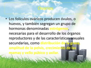 Ovarios
• Los folículos ováricos producen óvulos, o
huevos, y también segregan un grupo de
hormonas denominadas estrógenos,
necesarias para el desarrollo de los órganos
reproductores y de las características sexuales
secundarias, como distribución de la grasa,
amplitud de la pelvis, crecimiento de las
mamas y vello púbico y axilar.
 