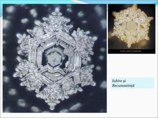 Iubire şi
Recunostinţă
 