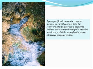 Apa nepurificată transmite corpului
mesajul pe care îl conţine, deja. Iar
structura apei poluate sau a apei de la
robinet, poate transmite corpului mesajele
haotice şi probabil - neprofitabile pentru
sănătatea corpului nostru.
 