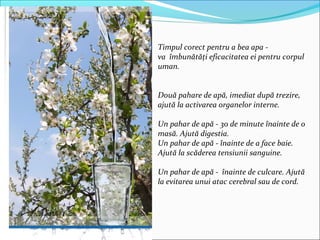 Timpul corect pentru a bea apa -
va îmbunătăţi eficacitatea ei pentru corpul
uman.
Două pahare de apă, imediat după trezire,
ajută la activarea organelor interne.
Un pahar de apă - 30 de minute înainte de o
masă. Ajută digestia.
Un pahar de apă - înainte de a face baie.
Ajută la scăderea tensiunii sanguine.
Un pahar de apă - înainte de culcare. Ajută
la evitarea unui atac cerebral sau de cord.
 