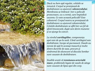 Dacă nu bem apă regulat, celulele se
intoxică. Corpul se protejează de
deshidratare cu ajutorul colesterolului.
Membrana se îmbracă într-o peliculă
protectoare, ca o cremă, care împiedică
uscarea. Ce este această peliculă? Este
colesterol. Corpul nostru se protejează de
deshidratare cu ajutorul colesterolului.
Celulele deshidratate se află într-un fel de
sferă întunecată, după care devin mutante
şi se ajunge la cancer.
La nivelul cartilagiilor, componenţa
apei este de 90 la sută. Când cartilagiul este
deshidratat, începe să pocnească. Oasele au
nevoie de apă în aceeaşi masură şi multe
dintre durerile de oase, precum şi
sindromul de alunecare al discului lombar
sunt cauzate de deshidratare.
Studiile arată că tensiunea arterială
mare, problemele legate de vasele de sânge
sunt cauzate de lipsa apei din corp.
 