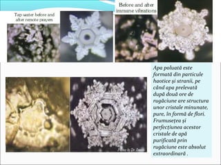 Apa poluată este
formată din particule
haotice şi stranii, pe
când apa prelevată
după două ore de
rugăciune are structura
unor cristale minunate,
pure, în formă de flori.
Frumuseţea şi
perfecţiunea acestor
cristale de apă
purificată prin
rugăciune este absolut
extraordinară .
 