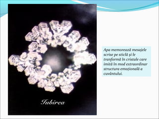 Apa memorează mesajele
scrise pe sticlă şi le
tranformă în cristale care
imită în mod extraordinar
structura emoţională a
cuvântului.
 