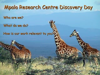 Mpala Research Centre Discovery DayMpala Research Centre Discovery Day
Who are we?Who are we?
What do we do?What do we do?
How is our work relevant to you?How is our work relevant to you?
 