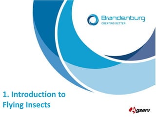 Flying Insects Policy Intro To Flying Insects | PPTX