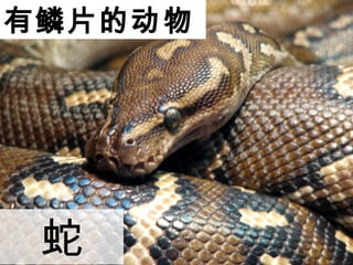 ƬĶ

 