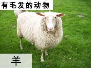 ëĶ

 