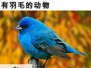 ëĶ
 