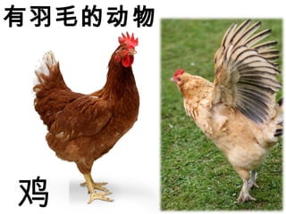 ëĶ

 