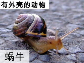 ǵĶ
ţ
 