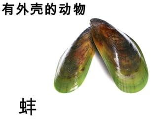 ǵĶ

 