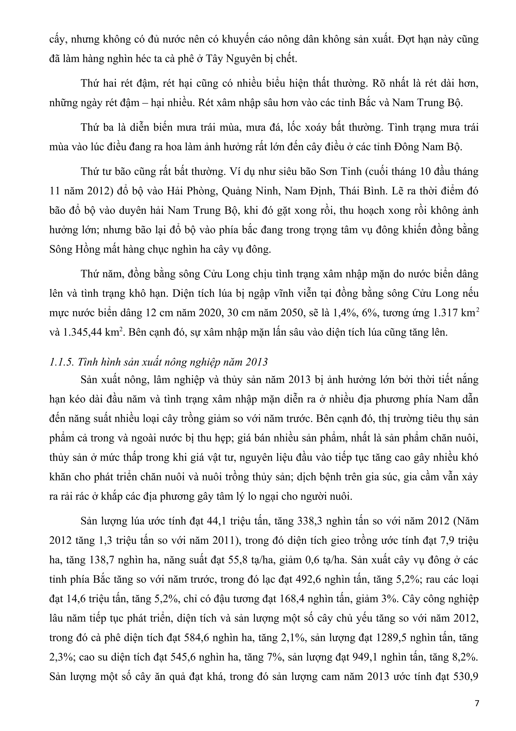 cấy, nhưng không có đủ nước nên có khuyến cáo nông dân không sản xuất. Đợt hạn này cũng
đã làm hàng nghìn héc ta cà phê ở Tây Nguyên bị chết.
Thứ hai rét đậm, rét hại cũng có nhiều biểu hiện thất thường. Rõ nhất là rét dài hơn,
những ngày rét đậm – hại nhiều. Rét xâm nhập sâu hơn vào các tỉnh Bắc và Nam Trung Bộ.
Thứ ba là diễn biến mưa trái mùa, mưa đá, lốc xoáy bất thường. Tình trạng mưa trái
mùa vào lúc điều đang ra hoa làm ảnh hưởng rất lớn đến cây điều ở các tỉnh Đông Nam Bộ.
Thứ tư bão cũng rất bất thường. Ví dụ như siêu bão Sơn Tinh (cuối tháng 10 đầu tháng
11 năm 2012) đổ bộ vào Hải Phòng, Quảng Ninh, Nam Định, Thái Bình. Lẽ ra thời điểm đó
bão đổ bộ vào duyên hải Nam Trung Bộ, khi đó gặt xong rồi, thu hoạch xong rồi không ảnh
hưởng lớn; nhưng bão lại đổ bộ vào phía bắc đang trong trọng tâm vụ đông khiến đồng bằng
Sông Hồng mất hàng chục nghìn ha cây vụ đông.
Thứ năm, đồng bằng sông Cửu Long chịu tình trạng xâm nhập mặn do nước biển dâng
lên và tình trạng khô hạn. Diện tích lúa bị ngập vĩnh viễn tại đồng bằng sông Cửu Long nếu
mực nước biển dâng 12 cm năm 2020, 30 cm năm 2050, sẽ là 1,4%, 6%, tương ứng 1.317 km2
và 1.345,44 km2
. Bên cạnh đó, sự xâm nhập mặn lấn sâu vào diện tích lúa cũng tăng lên.
1.1.5. Tình hình sản xuất nông nghiệp năm 2013
Sản xuất nông, lâm nghiệp và thủy sản năm 2013 bị ảnh hưởng lớn bởi thời tiết nắng
hạn kéo dài đầu năm và tình trạng xâm nhập mặn diễn ra ở nhiều địa phương phía Nam dẫn
đến năng suất nhiều loại cây trồng giảm so với năm trước. Bên cạnh đó, thị trường tiêu thụ sản
phẩm cả trong và ngoài nước bị thu hẹp; giá bán nhiều sản phẩm, nhất là sản phẩm chăn nuôi,
thủy sản ở mức thấp trong khi giá vật tư, nguyên liệu đầu vào tiếp tục tăng cao gây nhiều khó
khăn cho phát triển chăn nuôi và nuôi trồng thủy sản; dịch bệnh trên gia súc, gia cầm vẫn xảy
ra rải rác ở khắp các địa phương gây tâm lý lo ngại cho người nuôi.
Sản lượng lúa ước tính đạt 44,1 triệu tấn, tăng 338,3 nghìn tấn so với năm 2012 (Năm
2012 tăng 1,3 triệu tấn so với năm 2011), trong đó diện tích gieo trồng ước tính đạt 7,9 triệu
ha, tăng 138,7 nghìn ha, năng suất đạt 55,8 tạ/ha, giảm 0,6 tạ/ha. Sản xuất cây vụ đông ở các
tỉnh phía Bắc tăng so với năm trước, trong đó lạc đạt 492,6 nghìn tấn, tăng 5,2%; rau các loại
đạt 14,6 triệu tấn, tăng 5,2%, chỉ có đậu tương đạt 168,4 nghìn tấn, giảm 3%. Cây công nghiệp
lâu năm tiếp tục phát triển, diện tích và sản lượng một số cây chủ yếu tăng so với năm 2012,
trong đó cà phê diện tích đạt 584,6 nghìn ha, tăng 2,1%, sản lượng đạt 1289,5 nghìn tấn, tăng
2,3%; cao su diện tích đạt 545,6 nghìn ha, tăng 7%, sản lượng đạt 949,1 nghìn tấn, tăng 8,2%.
Sản lượng một số cây ăn quả đạt khá, trong đó sản lượng cam năm 2013 ước tính đạt 530,9
7
 