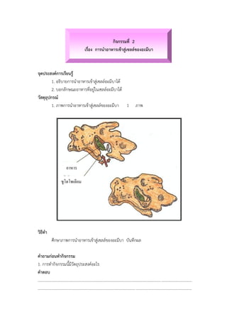 กิจกรรมที่ 2
เรื่อง การนาอาหารเข้าสู่เซลล์ของอะมีบา
จุดประสงค์การเรียนรู้
1. อธิบายการนาอาหารเข้าสู่เซลล์อะมีบาได้
2. บอกลักษณะอาหารที่อยู่ในเซลล์อะมีบาได้
วัสดุอุปกรณ์
1. ภาพการนาอาหารเข้าสู่เซลล์ของอะมีบา 1 ภาพ
วิธีทา
ศึกษาภาพการนาอาหารเข้าสู่เซลล์ของอะมีบา บันทึกผล
คาถามก่อนทากิจกรรม
1. การทากิจกรรมนี้มีวัตถุประสงค์อะไร
คาตอบ
............................................................................................................................................................
............................................................................................................................................................
ซูโดโพเดียม
อาหาร
 