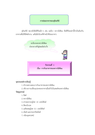 การย่อยอาหารของจุลินทรีย์
จุลินทรีย์ หมายถึงสิ่งมีชีวิตเล็ก ๆ เช่น อะมีบา พารามีเซียม สิ่งมีชีวิตเหล่านี้จาเป็นต้องกิน
อาหารเพื่อให้ได้พลังงาน แต่ไม่มีอวัยวะที่ทาหน้าที่ย่อยอาหาร
กิจกรรมที่ 1
เรื่อง การกินอาหารของพารามีเซียม
จุดประสงค์การเรียนรู้
1. สารวจตรวจสอบการกินอาหารของพารามีเซียม
2. อธิบายการเปลี่ยนแปลงของอาหารเมื่อเข้าไปในเซลล์ของพารามีเซียม
วัสดุอุปกรณ์
1. ยีสต์
2. พารามีเซียม
3. สารละลายกลูโคส 10 เปอร์เซ็นต์
4. สีคองโกเรต
5. เมทิลเซลลูโลส 0.1 เปอร์เซ็นต์
6. สไลด์ และกระจกปิดสไลด์
7. กล้องจุลทรรศน์
อะมีบาและพารามีเซียม
นาอาหารเข้าสู่เซลล์อย่างไร
คะ
 