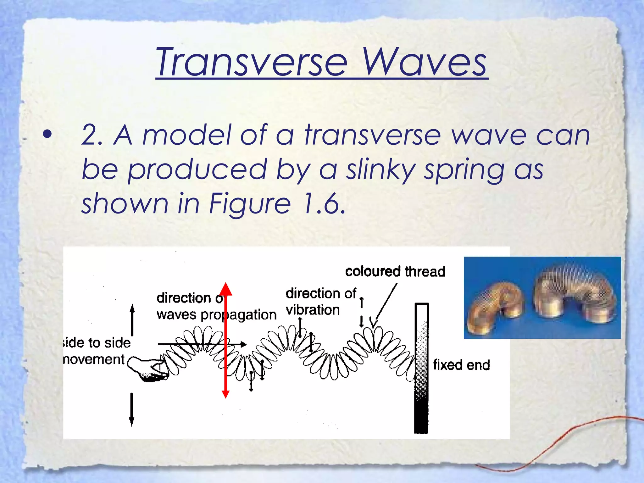 Transverse Waves
• 2. A model of a transverse wave can
be produced by a slinky spring as
shown in Figure 1.6.
 