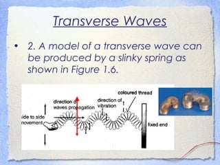 Transverse Waves
• 2. A model of a transverse wave can
be produced by a slinky spring as
shown in Figure 1.6.
 