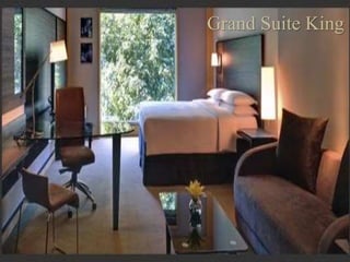 Grand Suite King
 