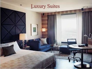 Luxury Suites
 