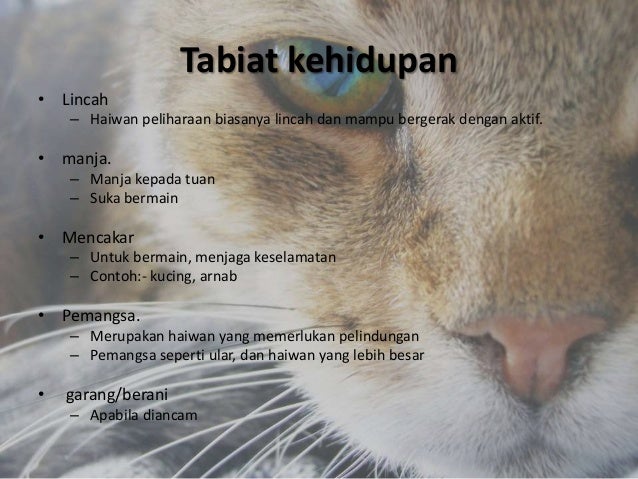 Pengenalan kepada teknologi pemeliharaan haiwan kesayangan dan ikan hu2026