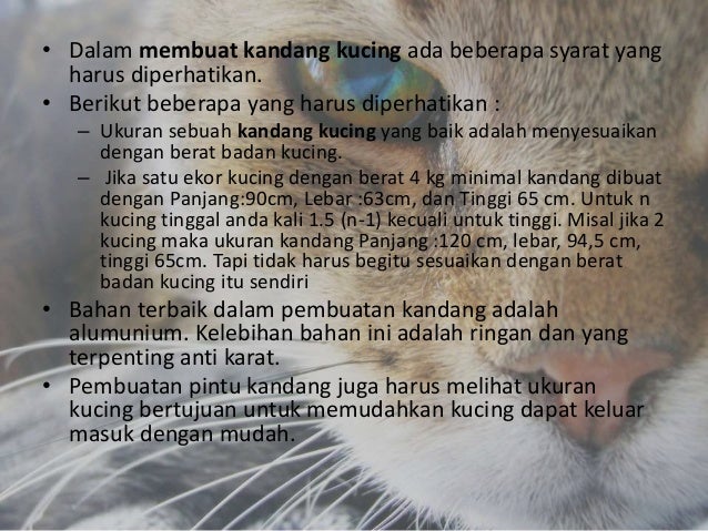 Pengenalan kepada teknologi pemeliharaan haiwan kesayangan 