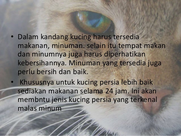 Pengenalan Kepada Teknologi Pemeliharaan Haiwan Kesayangan Dan Ikan H