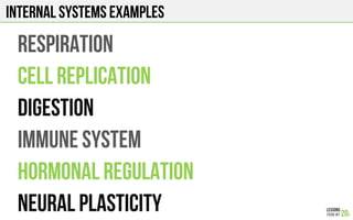 INTERNAL SYSTEMS EXAMPLEs
RESPIRATION
CELL REPLICATION
DIGESTION
IMMUNE SYSTEM
HORMONAL REGULATION
NEURAL PLASTICITY
 