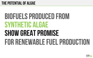 The potential of algae
BIOFUELS PRODUCED FROM
SYNTHETIC ALGAE
SHOW GREAT PROMISE
FOR RENEWABLE FUEL PRODUCTION
 
