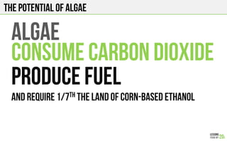 The potential of algae
ALGAE
CONSUME CARBON DIOXIDE
PRODUCE FUEL
And REQUIRE 1/7th the LAND OF CORN-BASED ETHANOL
 