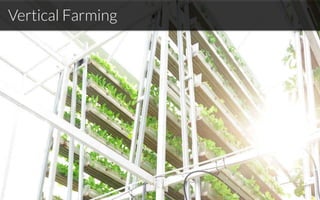 Vertical Farming
 