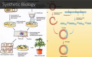 Synthetic Biology
 
