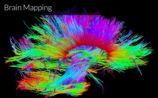 Brain Mapping
 