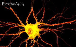 Reverse Aging
 